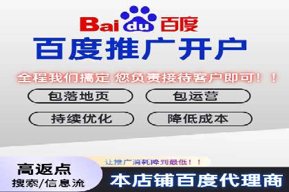 探索百度推广运营的奥秘：提升ROI的技巧